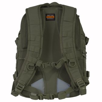 Pentagon Kyler plecak, oliwkowy 36l